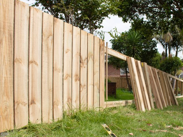 100×100 Timber Fence Posts: Your Complete NZ Selection Guide