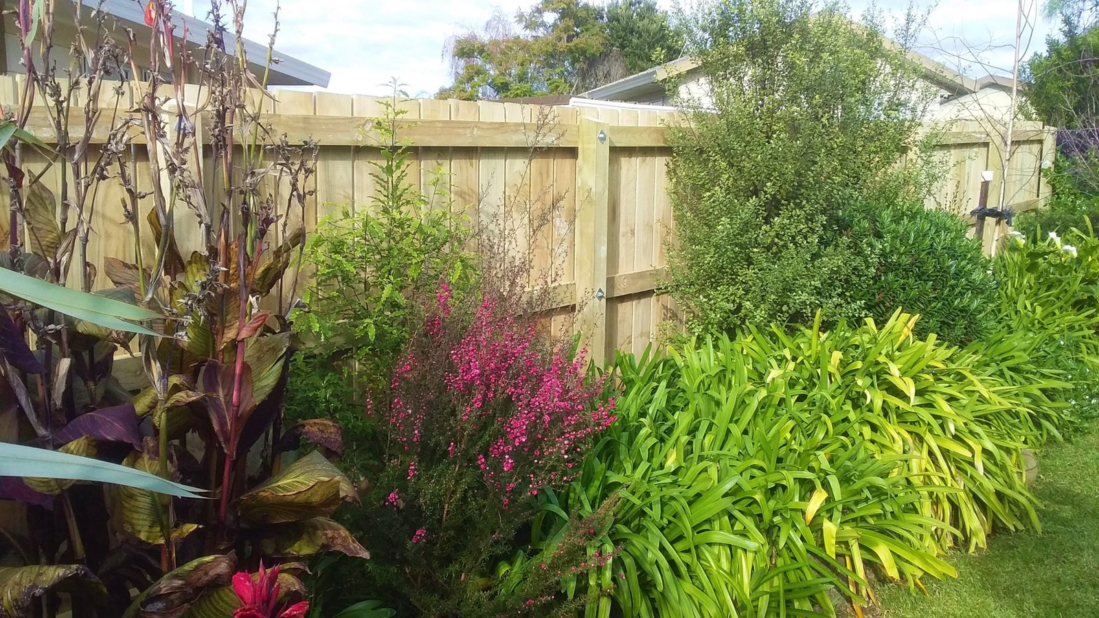Privacy fence installation Auckland