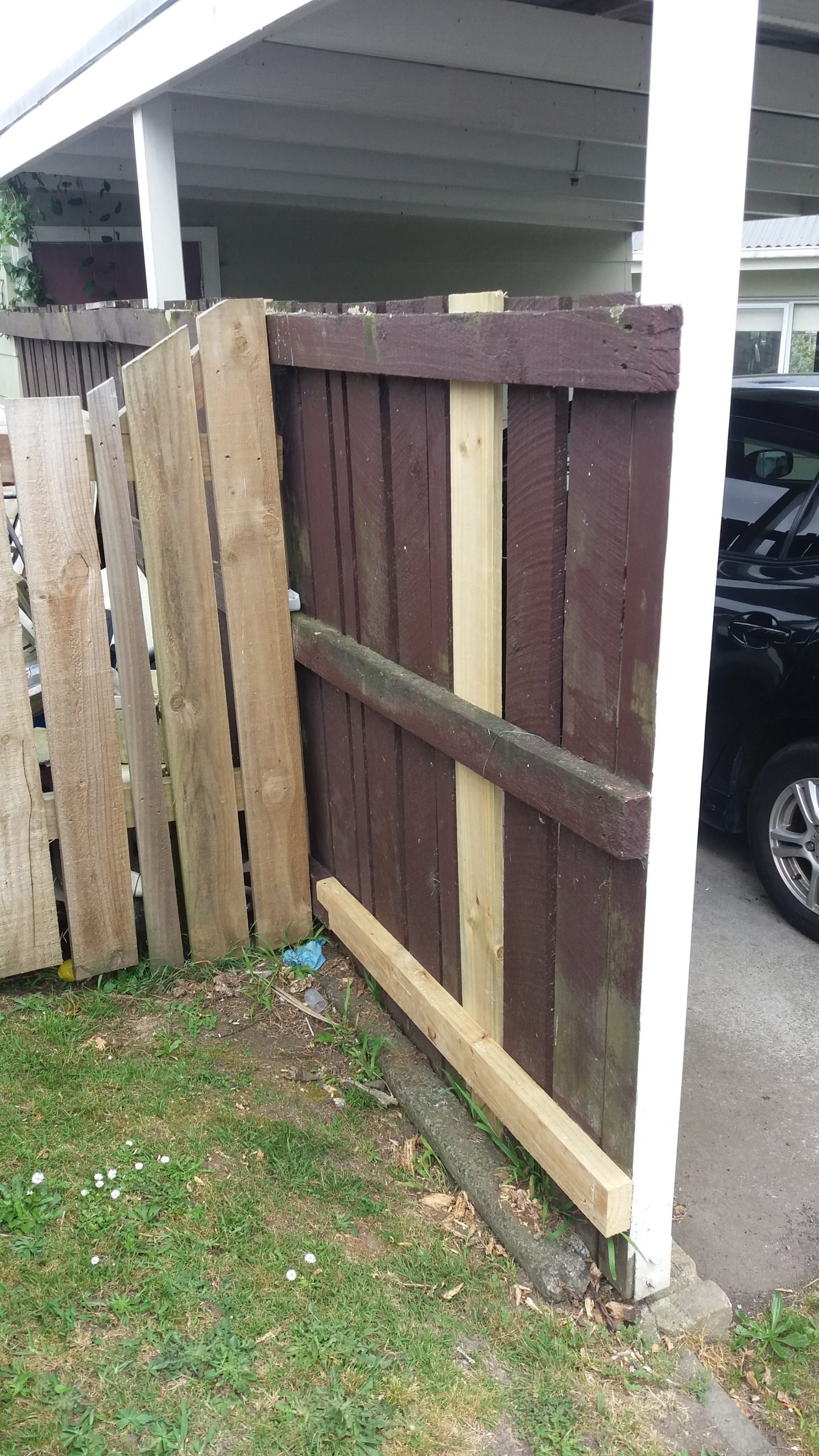 Timber fence completed Auckland