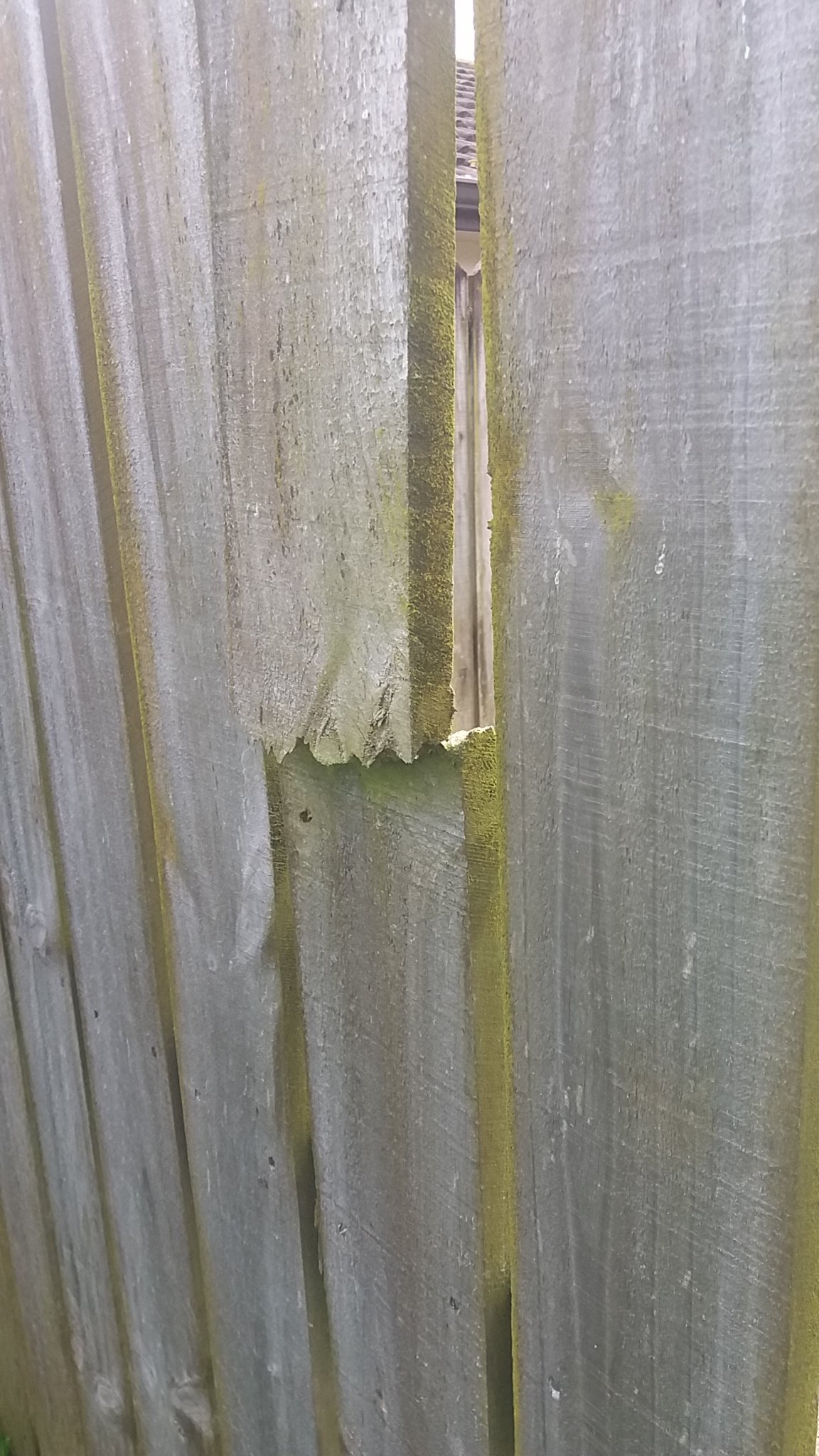 Gate installation completed
