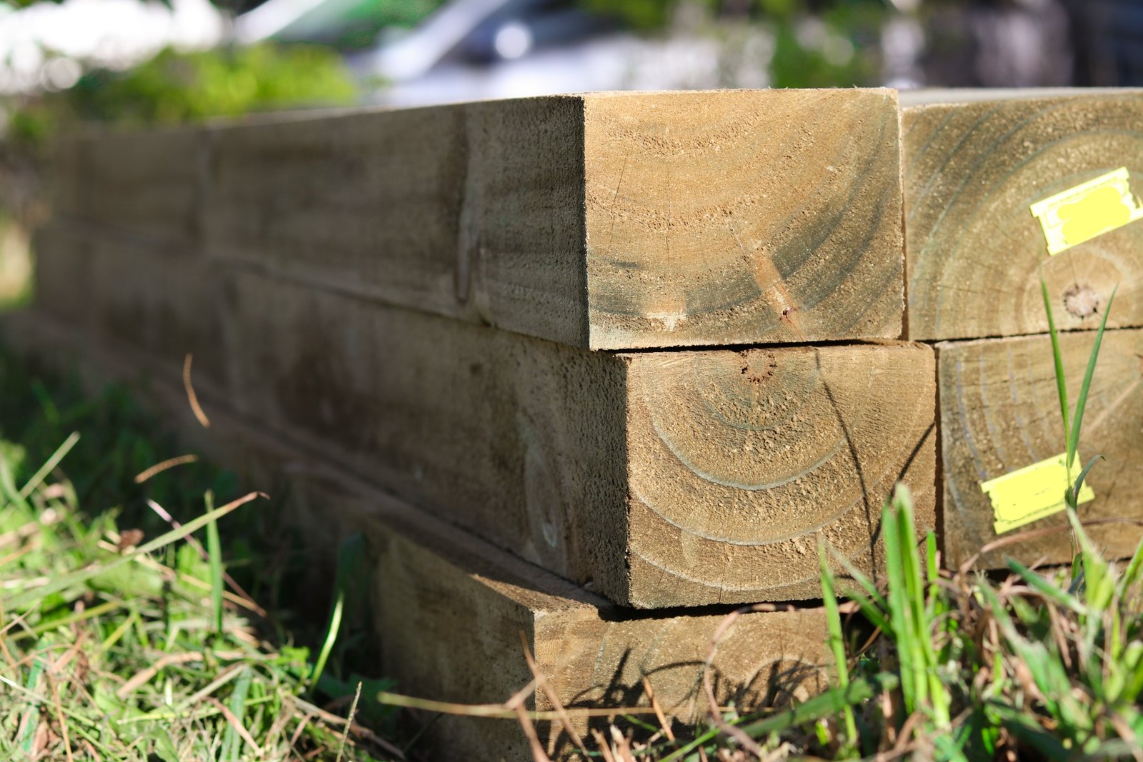 The Timber Fencing Guys team at work on an Auckland installation