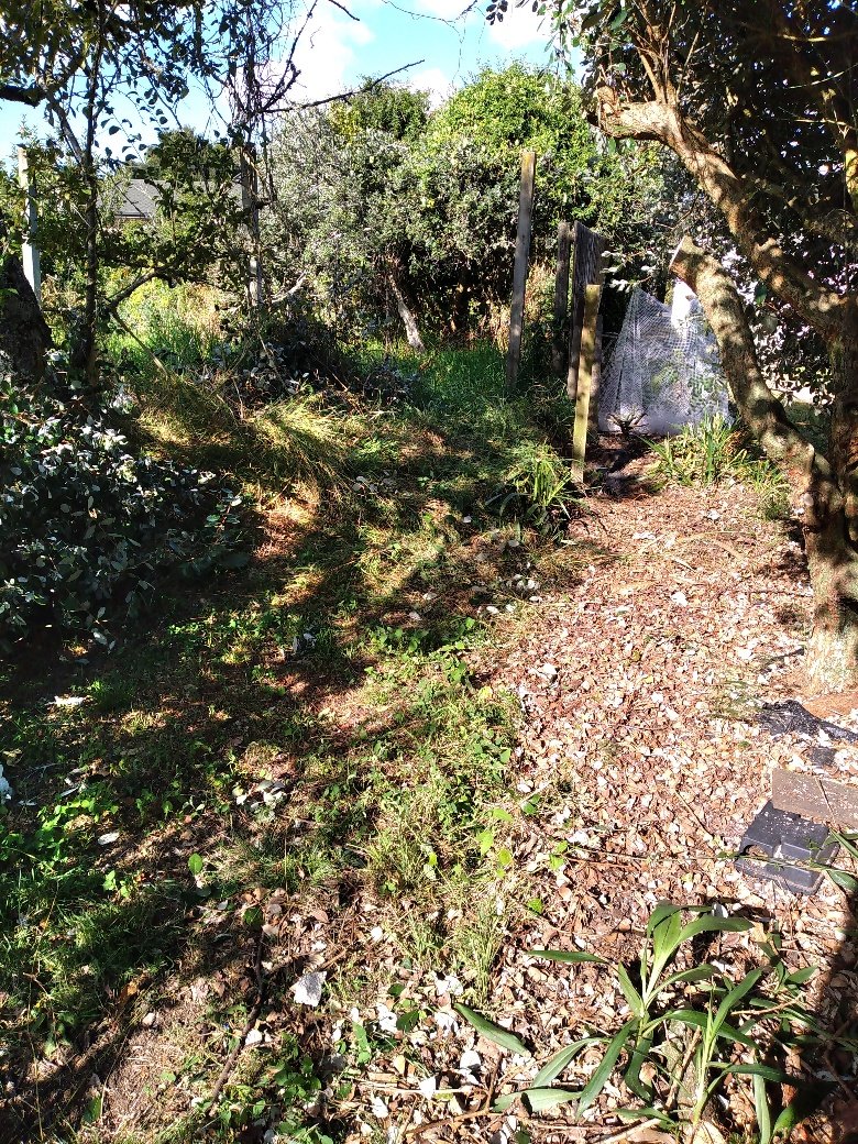 Post repair and fence restoration