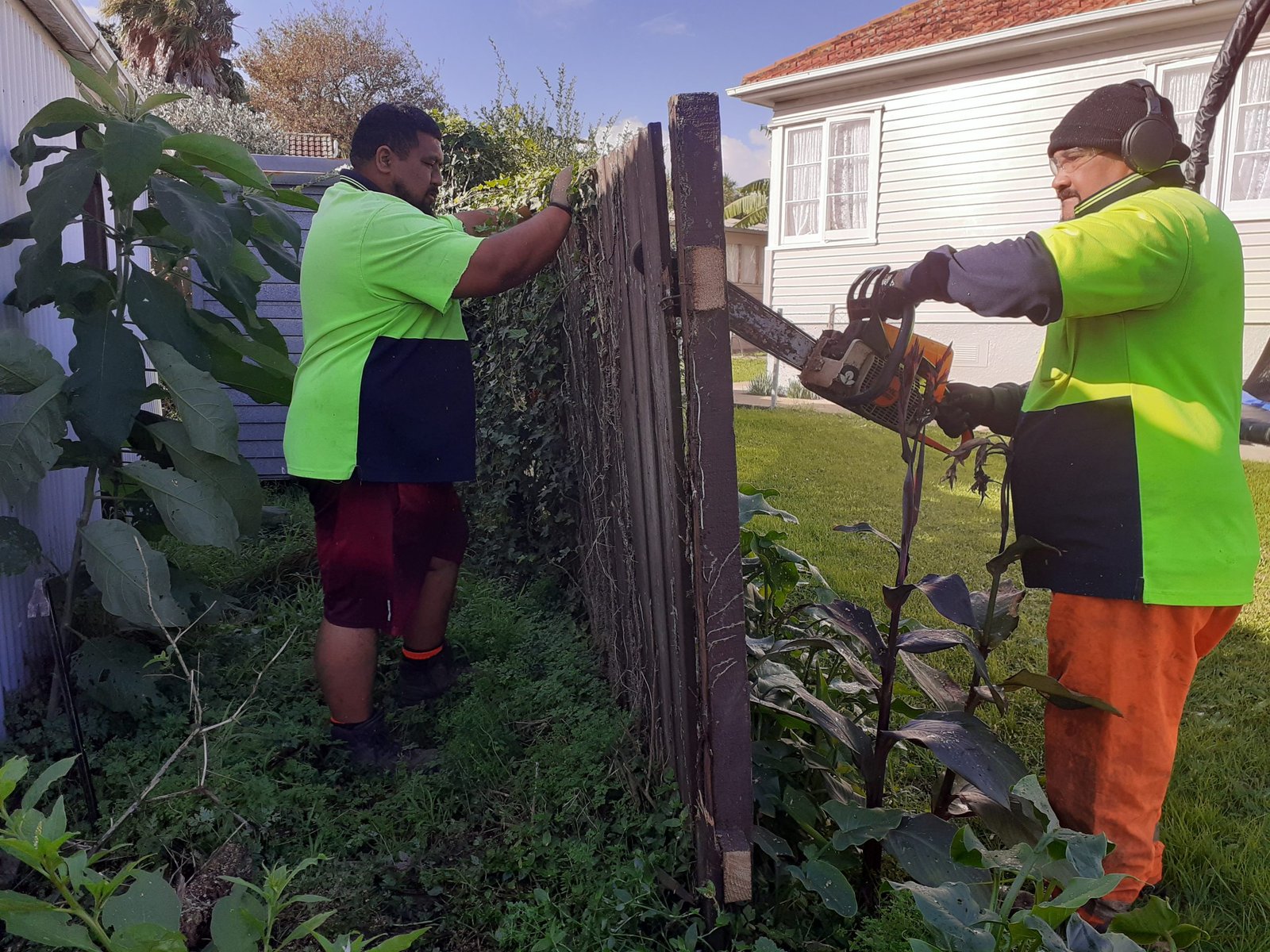 New fence installation Auckland
