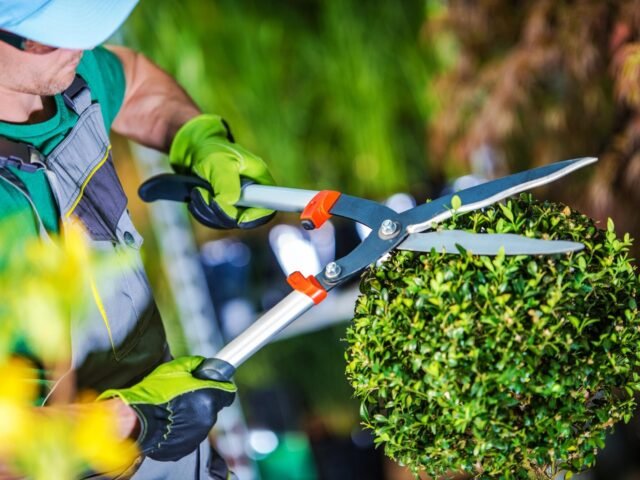 Blog Post – Gardening Services Overview