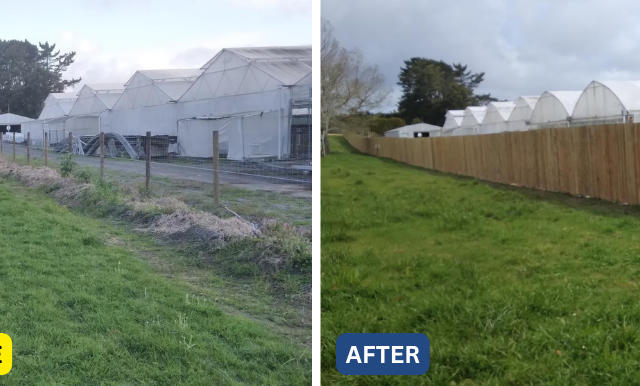 Privacy Fence Installation: 130m Fence in North Auckland